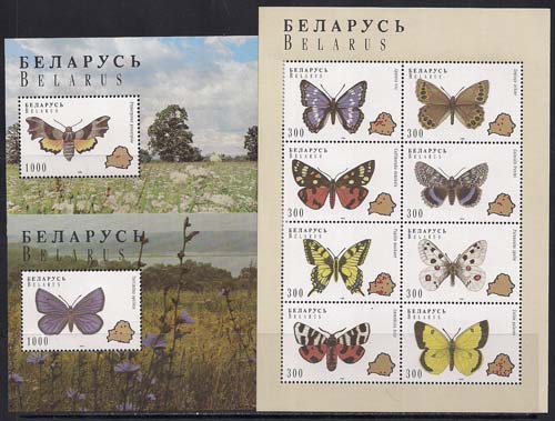 Беларусь 1996 год. Бабочки. и среда их обитания. 8 марок+2 блока