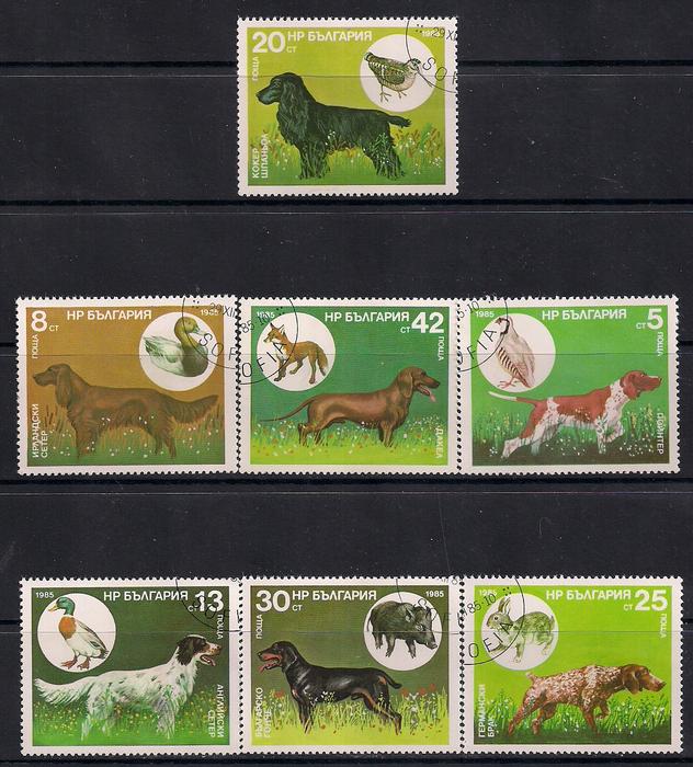 Болгария 1985 год. Охотничьи собаки. 7 гашеных марок
