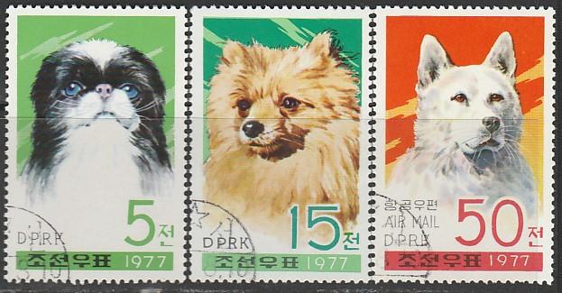 КНДР 1977 год. Собаки, 3 гашёные марки 