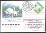 Клубный конверт со спецгашением. Беларусь 1995 г.