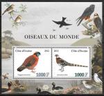 Птицы мира. Кот дИвуар 2012 год. 1 мал. лист