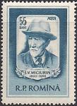 Румыния 1955 год. 100 лет со дня рождения биолога И.В. Мичурина. 1 марка с наклейкой
