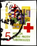 Югославия 1962 год. Непочтовая марка. Неделя борьбы против туберкулеза. 1 гашеная марка без зубцов