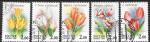 Россия 2001 год. Флора. Тюльпаны, 5 гашеных марок