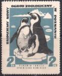 Польша 1974 год. Охрана природы. Пингвины. Непочтовая марка 