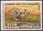 Россия 1995 год. Всероссийское общество охраны природы. Кряква (ном. 250 руб). 1 марка Россия 1995 год. Всероссийское общество охраны природы. Кряква (ном. 250 руб). 1 марка