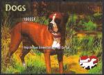 Конго 2005 год. Собаки. Блок