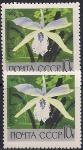 СССР 1969 год. Орхидея "Каттлея" (3676). Разновидность - тёмный цвет и фон верхней марки 