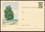 Иллюстрированная односторонняя почтовая карточка № 7-47, 1963 год. Березки