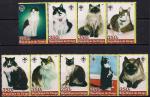 Конго 2005 год. Породы кошек. 9 марок