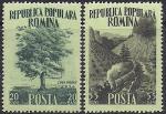 Румыния 1956 год. Месячник защиты лесов. 2 марки с наклейкой