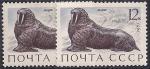 СССР 1971 год. Морж (3967). Разновидность - темный цвет на левой марке (Ю)