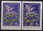 СССР 1972 год. Почечный чай (4041). Разновидность - разный цвет