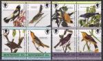Монтсеррат 1985 год. Птицы. 8 марок