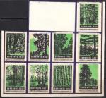 Набор спичечных этикеток. Берегите лес! 1960 год, 9 штук, зеленые на белой бумаге