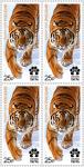Россия 2022 год. Международный форум по сохранению тигра. Совместный выпуск почтовых марок между Российской Федерацией и странами, являющимися ареалом тигра, квартблок