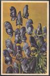 Почтовая карточка, 1930 г. Цветы. Аконит