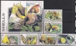 Сомали 1999 год. Морские раковины и улитки. 6 марок + блок