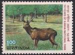 Индия 1983 год. 50 лет национальному парку Канха (133.390). 1 марка