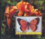 Аджман 1972 год. Бабочки (1). Гашеный блок