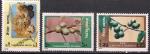 Непал 1978 год. Фрукты. 3 марки