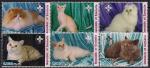 Сомали 2003 год. Кошки. 6 марок