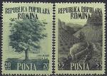Румыния 1956 год. Сохранение лесных богатств. 2 марки 