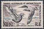 Французские Антарктические территории 1959 год. Большая чайка. 1 марка из серии (ном 0.4)  БЕЗ КЛЕЯ