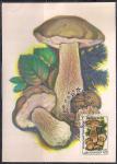 Картмаксимум. Ядовитые грибы. Желчный гриб, 15.05.1986 год, Москва почтамт