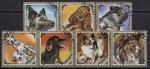 Монголия 1984 год. Породы собак. 7 гашёных марок