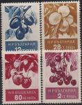 Болгария 1956 год. Вишня, слива, персик, земляника. 4 марки 