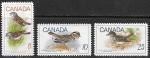 Канада 1969 год. Птицы, 3 марки. (н