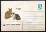 ХМК. Европейская кошка, 28.04.1989 год, № 89-226
