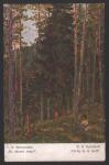 Открытое письмо. В лесной тиши. Художник Г.О. Калмыков. 1916 год.