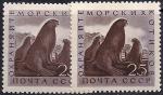 СССР 1960 год. Морские котики (2383). Разновидность - правая марка темнее