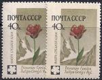 СССР 1960 год. Тюльпан Грейга (2412). Разновидность - желтая бумага, темный цвет на марке справа