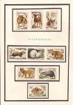 Набор иностранных спичечных этикеток. Чехословакия. Лесные звери. 9 штук.  НАКЛЕЕНЫ