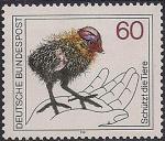 ФРГ 1981 год. Защита животных. Птенец утки-лысухи. 1 марка