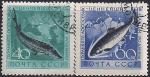 СССР 1959 год. Охрана морской фауны. Ценные породы рыб - осётр, лосось (2246-47). 2 гашёные марки