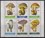 Болгария 1987 год. Виды грибов. 1 гашёный малый лист