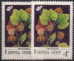 СССР 1982 год. Морошка (5205). Разновидность - на правой марке черный цвет бледный, на левой четкий (Ю)