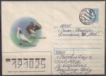 Конверт с литерой "А". Голуби. Алтайский шалевый и Пермский гривун, 27.12.1993 год, прошёл почту