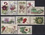 Румыния 1965 год. Цветы.10 гашеных марок 