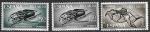 Рио-Муни 1965 год. Экваториальная Гвинея, жук Голиаф и саранча, 3 марки. (н