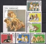 Азербайджан 1996 год. Собаки (010.77). 6 марок + блок