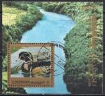 Манама (Аджман) 1972 год. Утки. Гашеный блок