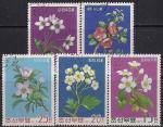 КНДР 1975 год. Цветущие деревья. 5 гашёных марок