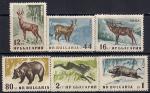 Болгария 1958 год. Местная лесная фауна - заяц-русак, косуля, олень, серна, медведь, кабан. 6 марок. Н
