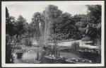 Почтовая карточка. Крым. Никитский ботанический сад. Бассейн в нижнем парке, 17.07.1953 год