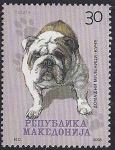 Македония 2008 год. Собаки. 1 марка (